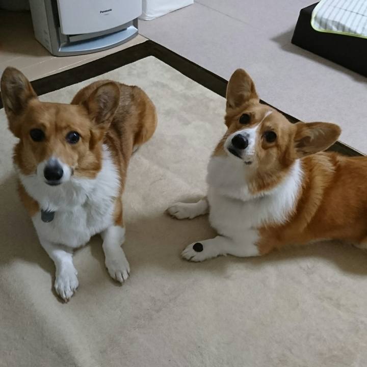 74e617f5 fdbb 44a1 822c f0f51cfef7e4