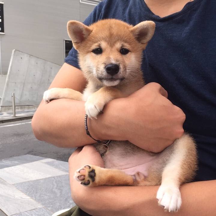 74e731a3 ef19 45cc 9373 63f3953af3a1