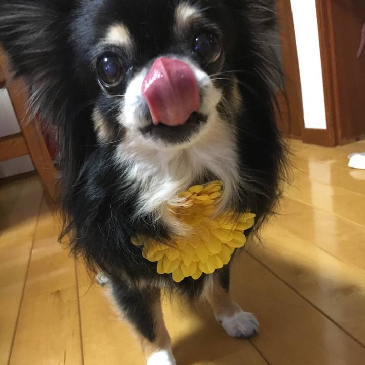 74e76c04 e024 4228 a3df e4e9009c0e33