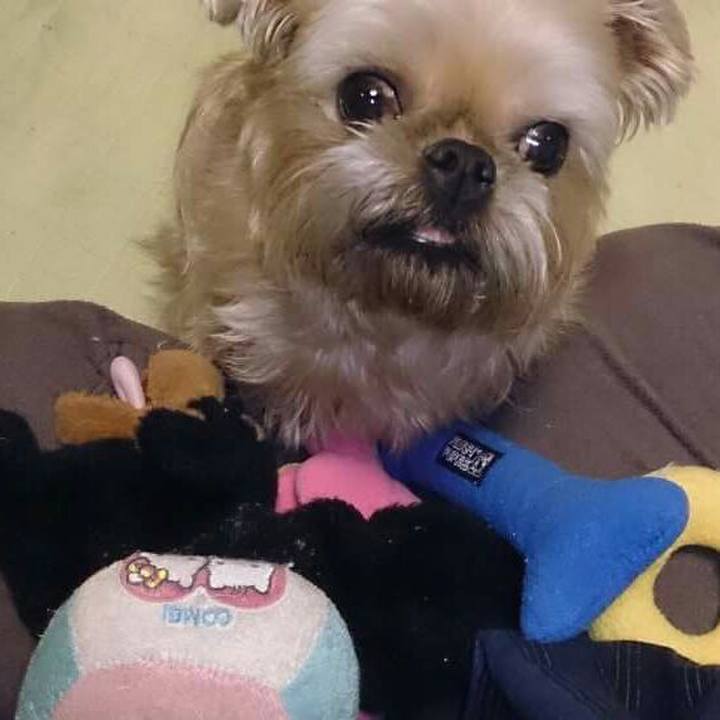 74e77d8e 87a1 4202 bfa7 de07a6d73378