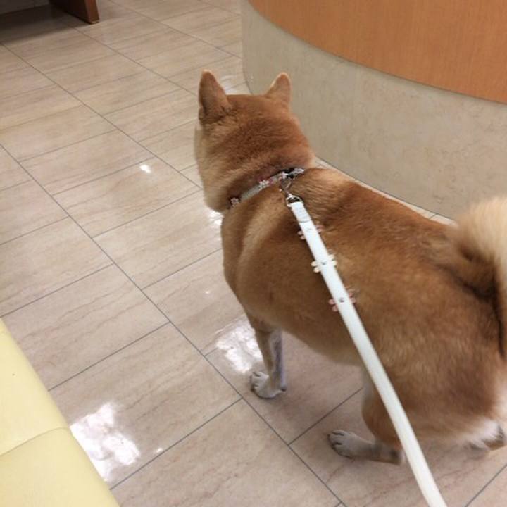 74e7936d 9de8 4842 81b7 e80e6424da93