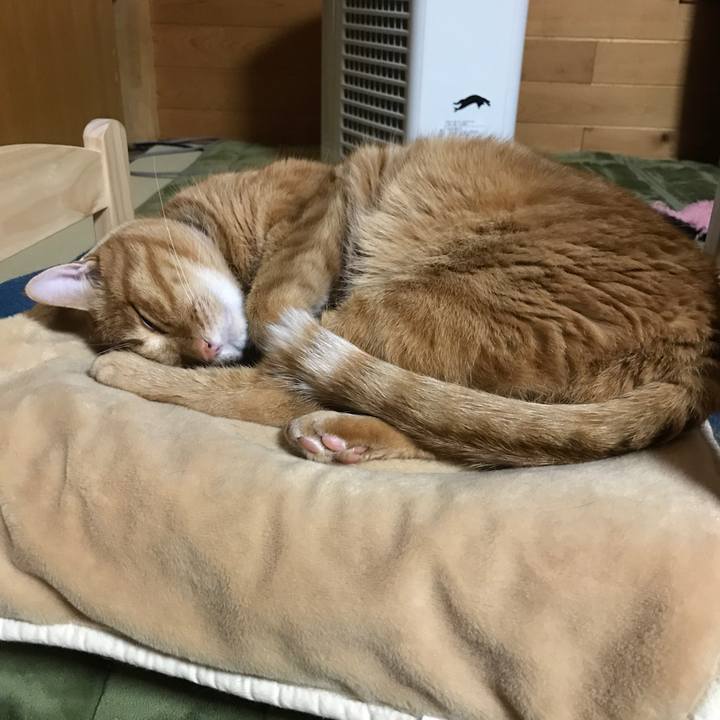 74e872d7 e829 44f1 840f a809935a15bc