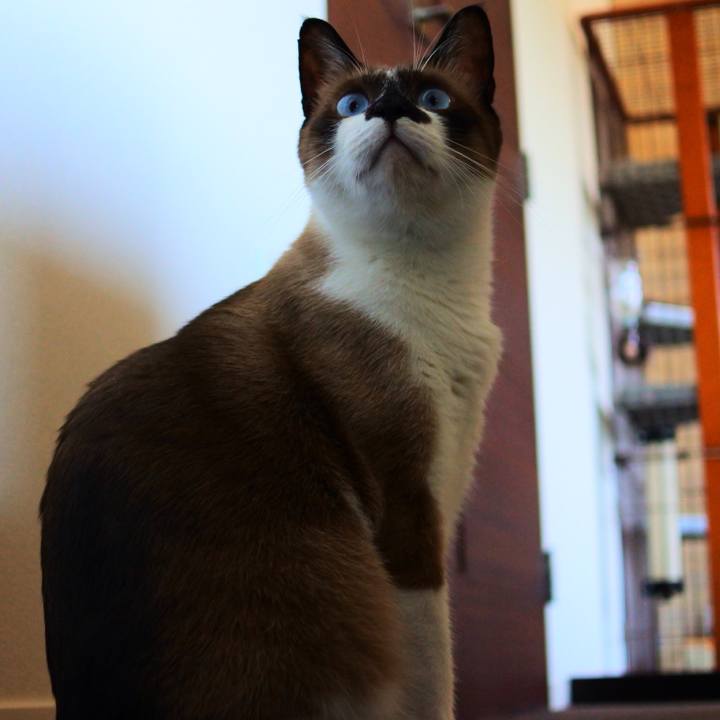 74e879ce 52d4 4972 9003 ed1db4fbc055