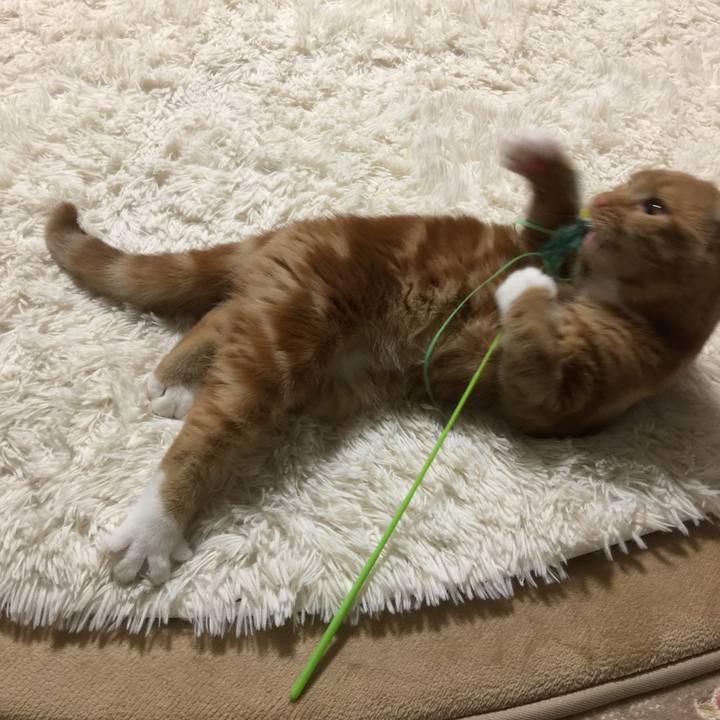 74e887ef bfe9 485e adfd 583961a8fc07