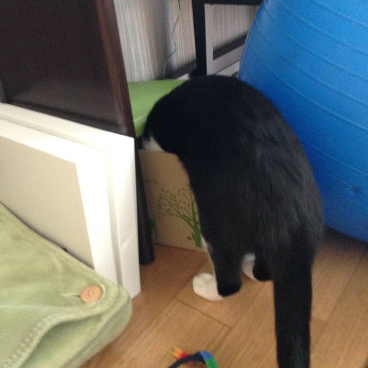 74e8ab47 cf45 4393 9ecf 9b833961c3a5