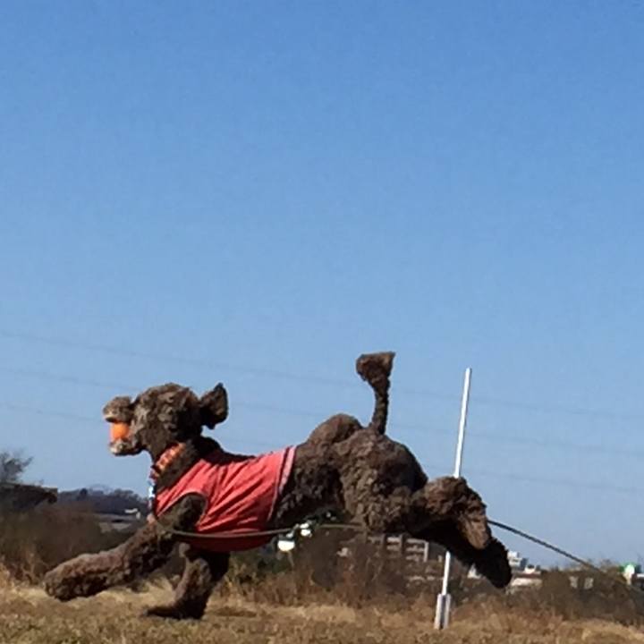 74e8bb82 63bf 4feb 9305 1bbb96dac3a5