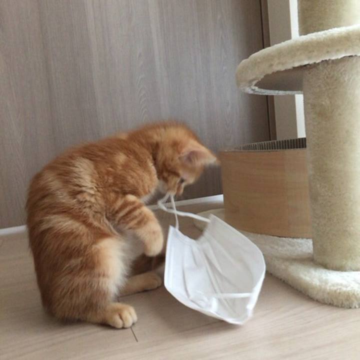 74e93798 808c 4e42 b6aa 4cc5350f7556