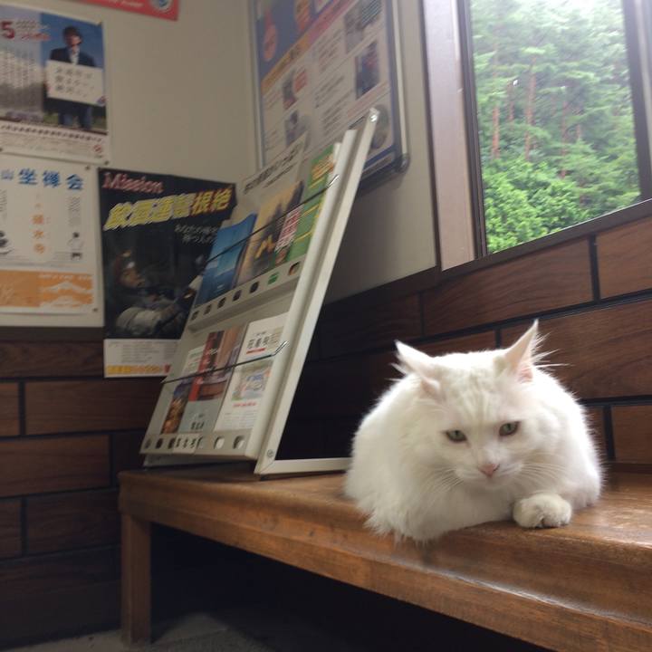 74e97e42 7601 4d86 a4a0 a294ddaf56dd