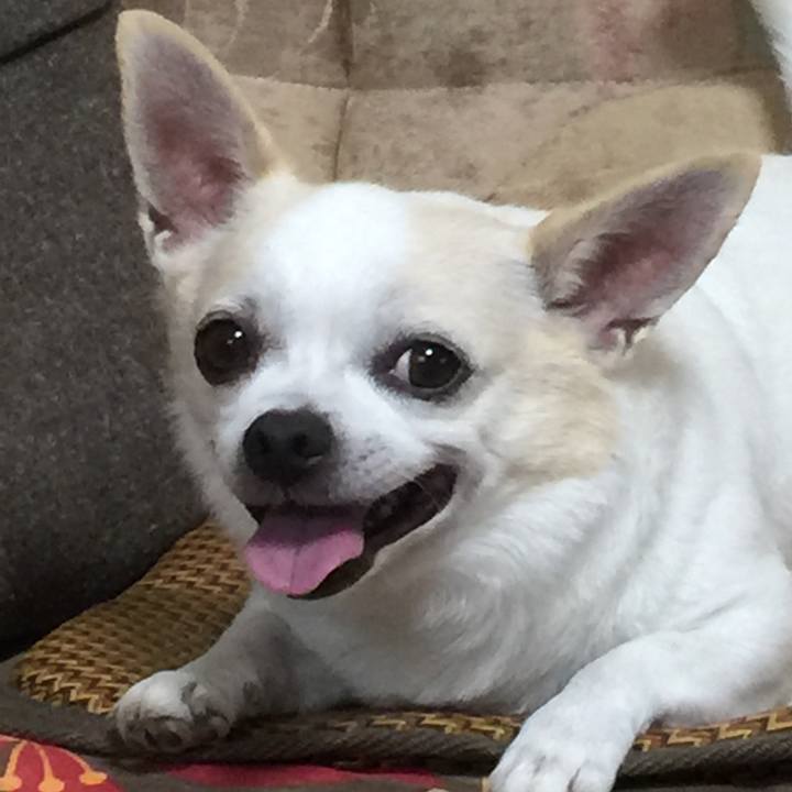 74ea5458 eec1 4437 9148 6417fd65ca50