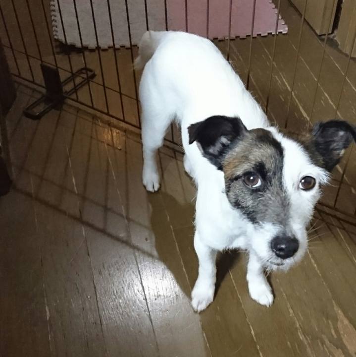 74ea846c f528 4aa6 9a7e 75afb9ab7316