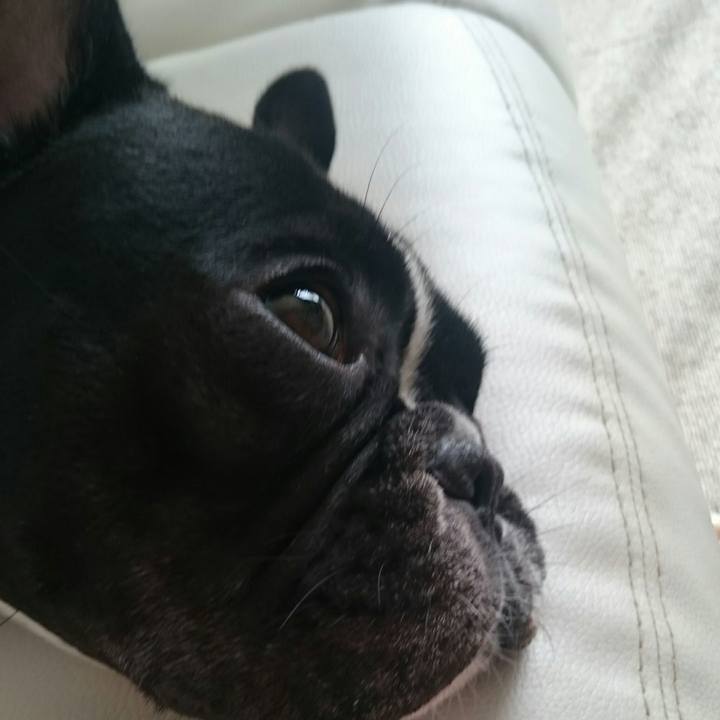 74eac100 178d 40bf b642 e3c2181b13ea