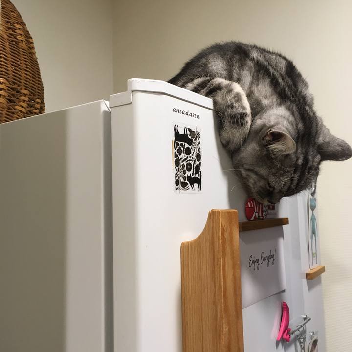 74eb3133 11a2 4ff9 b7d8 94cde0a3186f