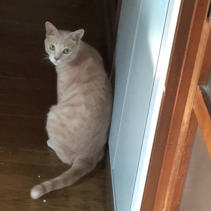 74ebad30 191f 4546 bbd2 3c2203e8472b