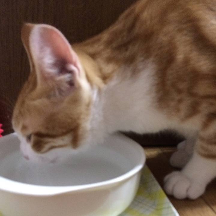 74ecd8a2 9bcd 40a2 aaf0 323b7848b564