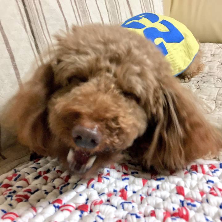 74ed5864 14cd 47b0 974a 07ac840183a4