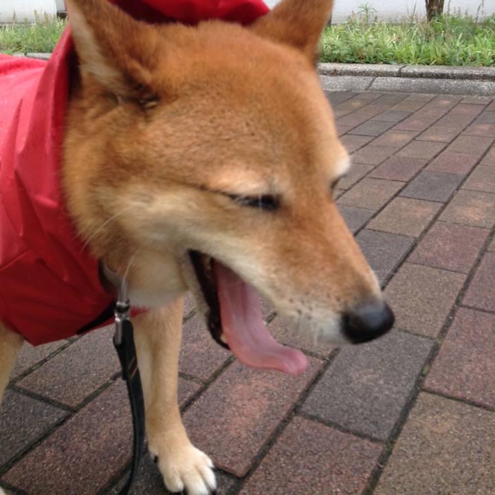 74ed649b 05bc 4155 bab9 10c526deddf8