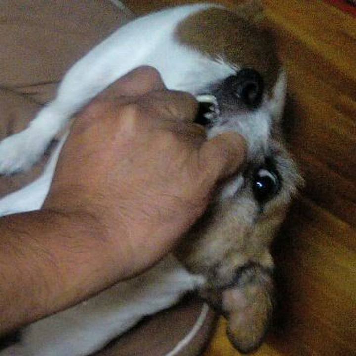 74ed66b7 dbe9 4a82 bbdb 046caa0ecaf9