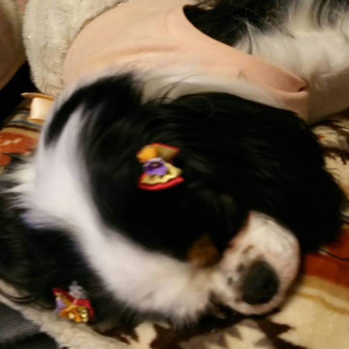 74eda75d 260d 43ee a946 1778fdbcd0e0