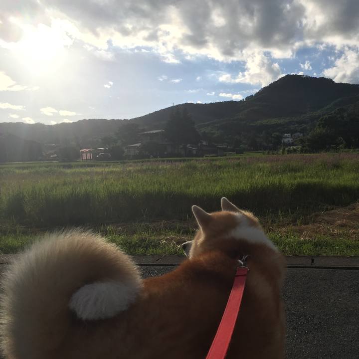 74eeda88 69d6 4210 89ba 3acd876b855f