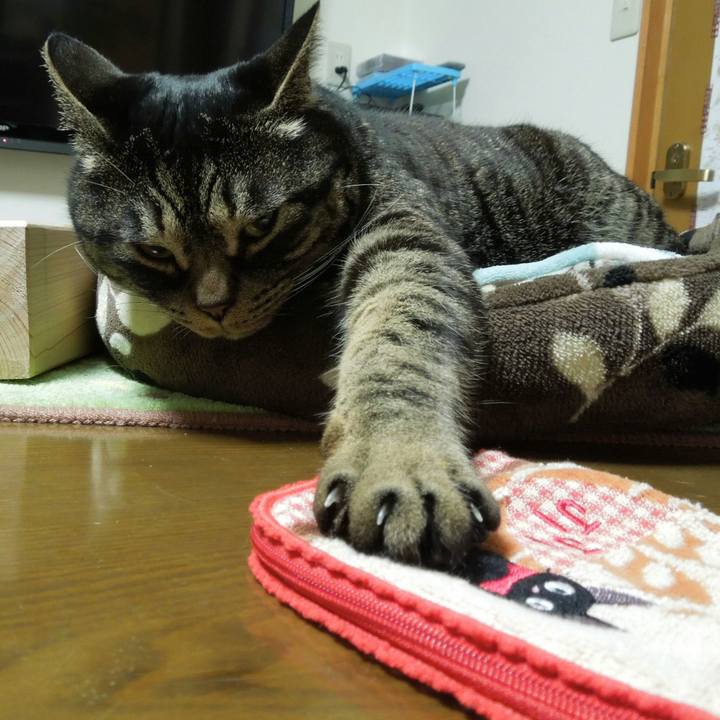 74ef01ad 3259 4dac 98f9 46c2bb6314fc