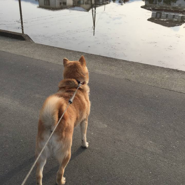 74ef39c9 ac2c 4a23 9fcf 30ced720ad33