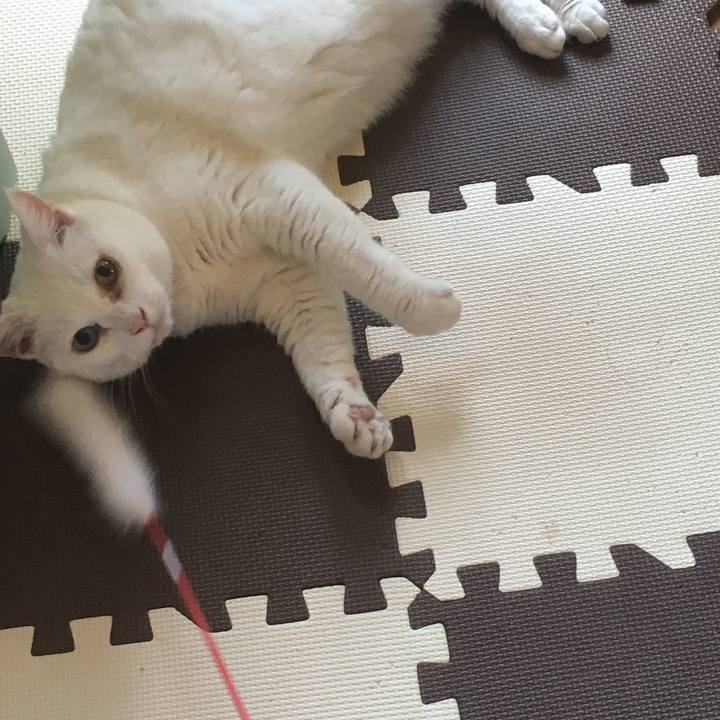 74ef434c 70e1 42e3 9537 a32a51212648