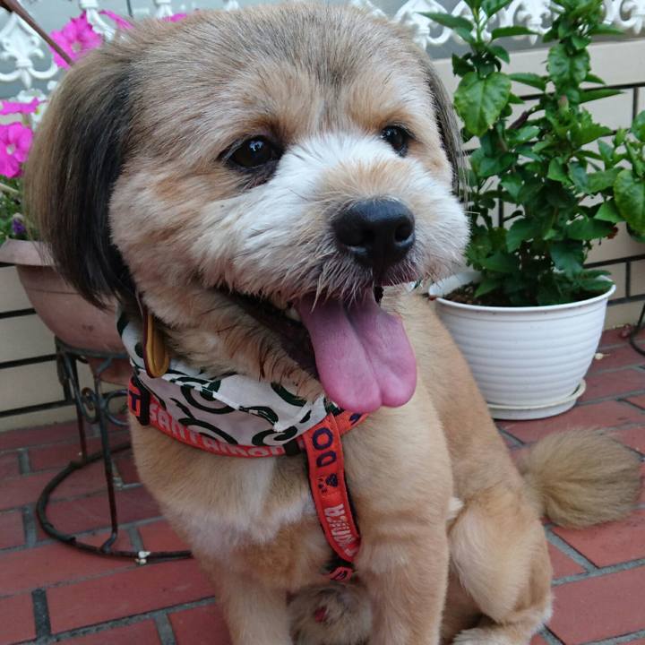 74ef95b8 56d2 4f7f 903e 1e570b1d1d4c