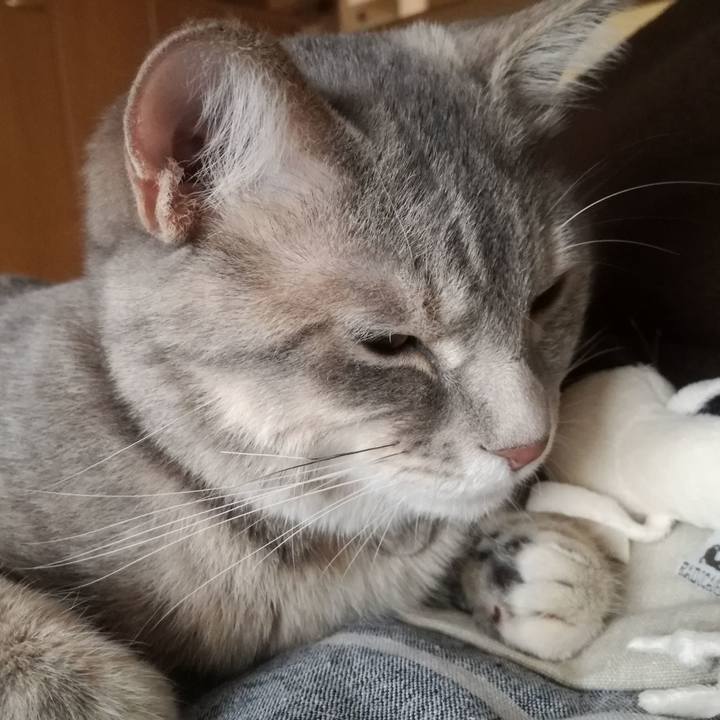 74efc93f eca3 4e84 8269 dc2c44fda7f0