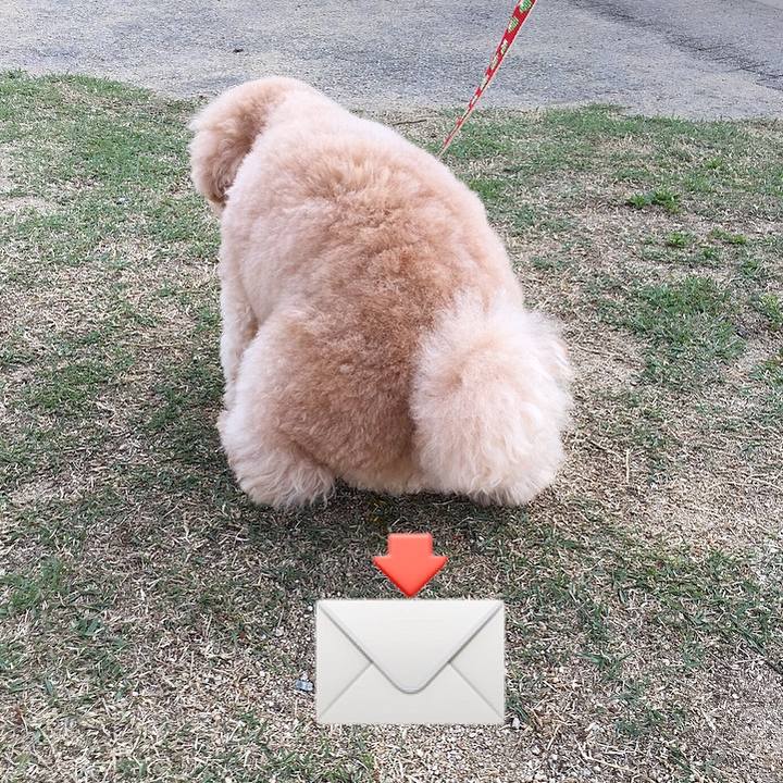 74f00286 f733 4921 ad29 f01aee137e17