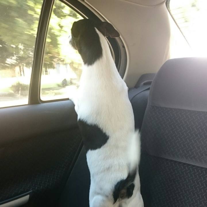 74f01b53 9571 4872 a0a3 1ace00bdf666