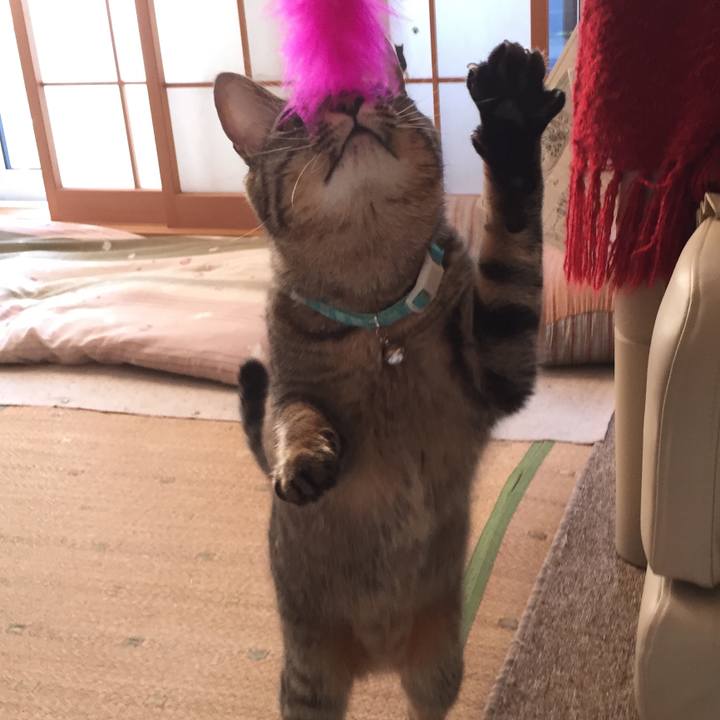 74f076af 542a 4afa 99cd 5fd40884b161