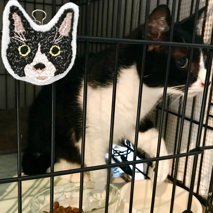 74f10d22 9d38 4251 b7d8 d88a958c4534