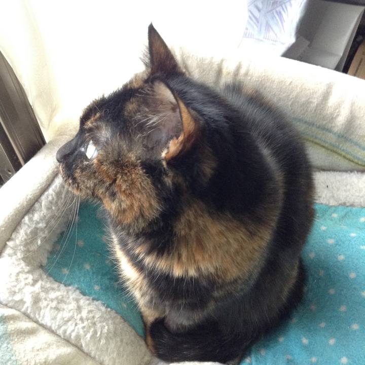 74f1243b a1e3 4c74 8dbc 9ec7d4f3ce55