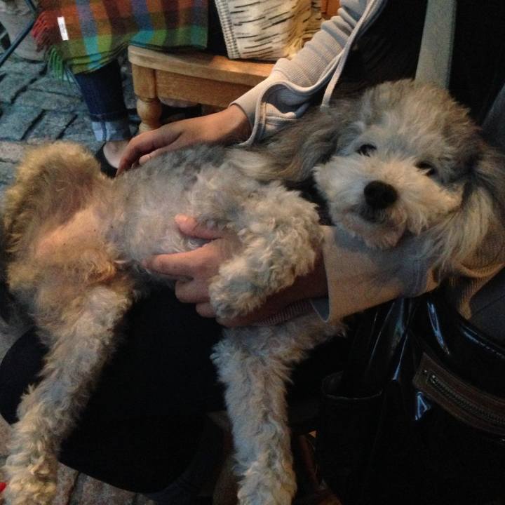 74f159ef 30b2 4605 8b47 3fe078796d3c