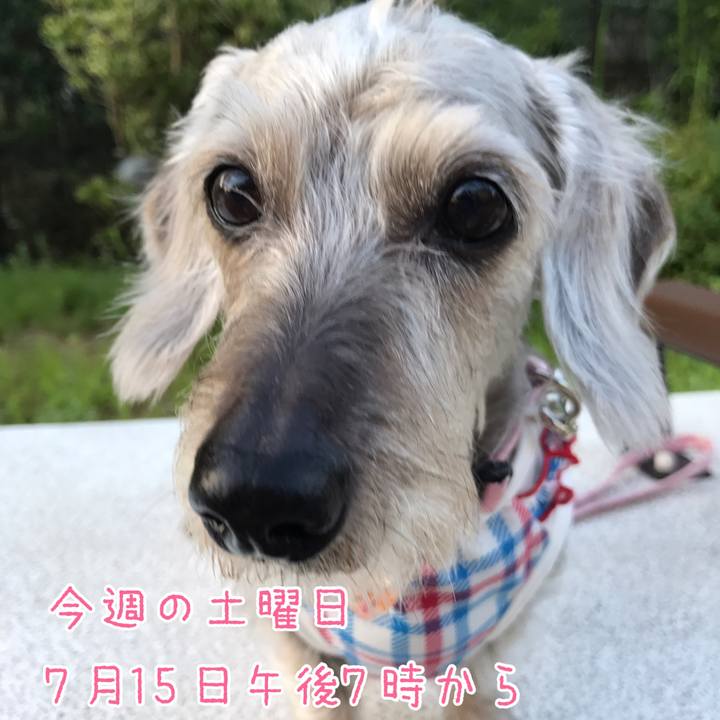 74f1911a 85a2 474a b3a9 211dab99f65e