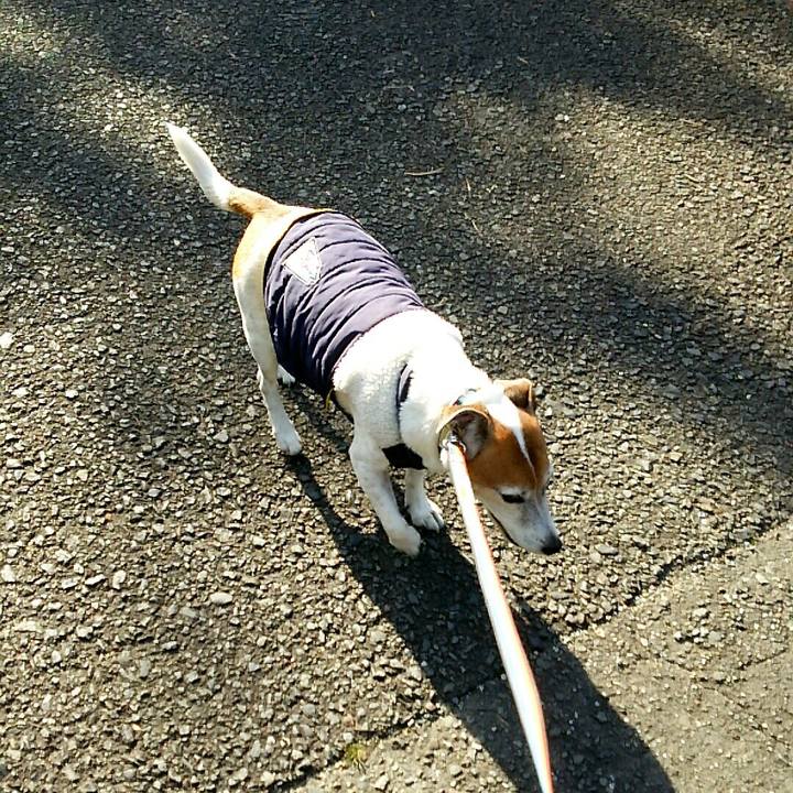 74f23b8f 3c33 4756 a70d d229a0371dac