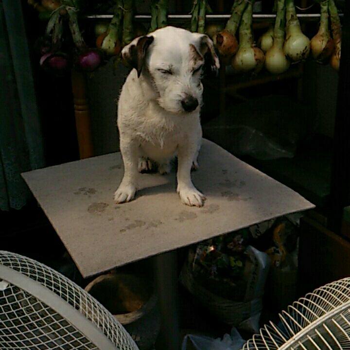 74f25a12 733e 486f 9314 05e62650e4a8