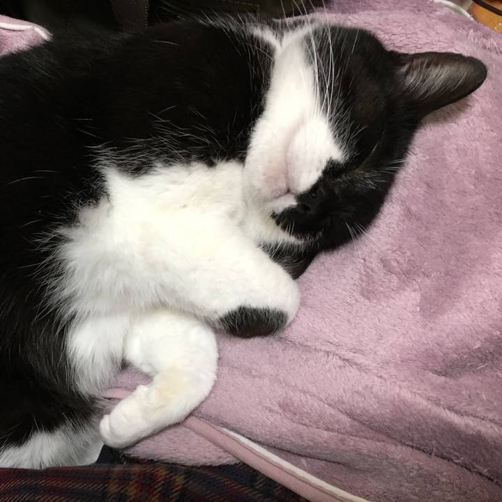 74f26760 1b73 4dd8 8dd0 784c5fd89405