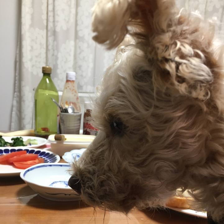 74f33079 84db 4c8d 9914 4e6960ec0308