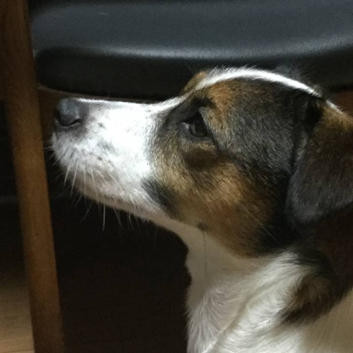 74f3ad01 335a 4f53 b686 971226a35877