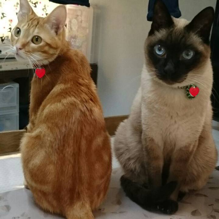 74f3fa6e 4861 4c7f 9ee1 83c06d0a98a5