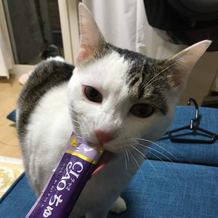 74f4143a 523e 45ae b46d 5798e9048e24