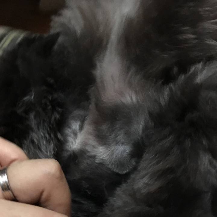 74f51352 6c89 44c9 aba6 546805e748e3