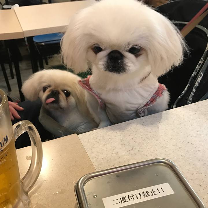 74f54767 9241 4d15 bd2e b0234007da27