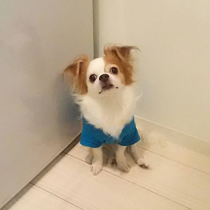 74f550a5 5857 40eb 858a bd65003b60d5