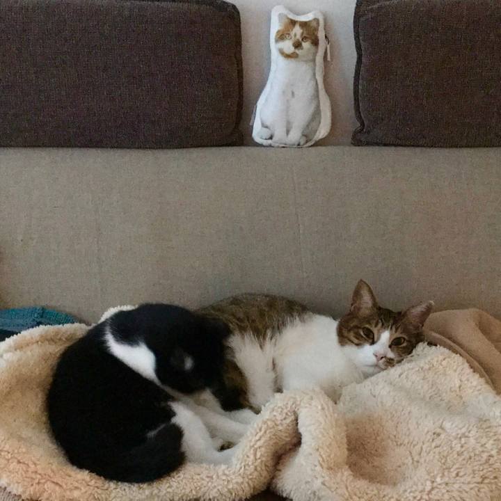 74f76be2 f9f0 4e79 a1fd 8943912997cf