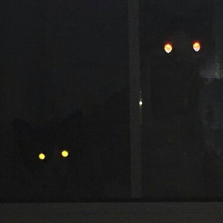 74f7d156 b382 4d1c 9ea0 67c2e8c7bea6