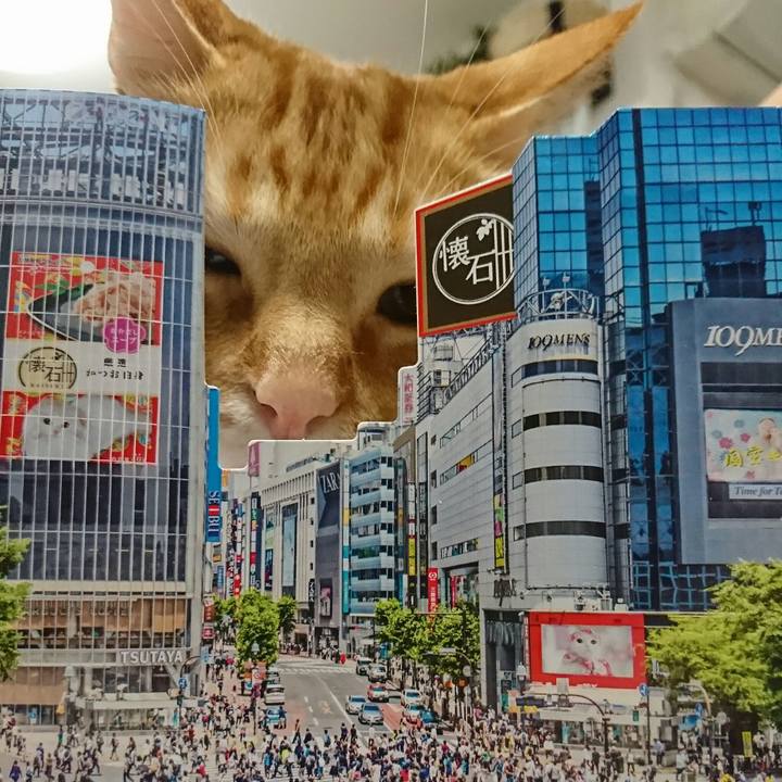 74f88c6e 6f0f 46a8 9c21 f09de7b54546