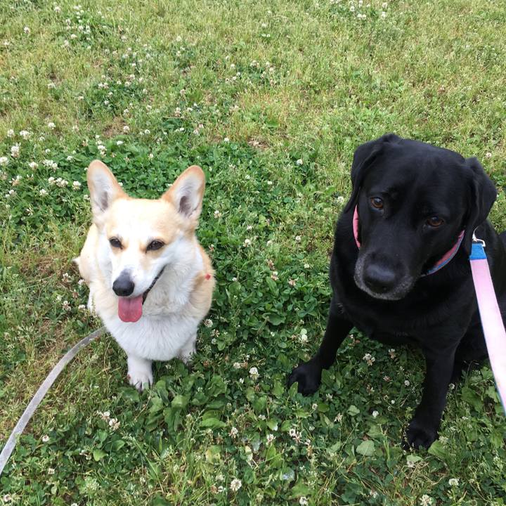 74f8ae52 9b71 452d b64e b3815910ba96