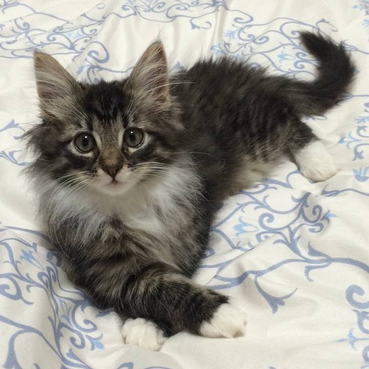 74f96b7d 8a97 4056 b532 baf1d1f8b530